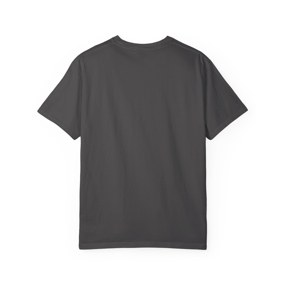 Vintage Folk Cat T-Shirt – Funny Vintage Cat Graphic Tee